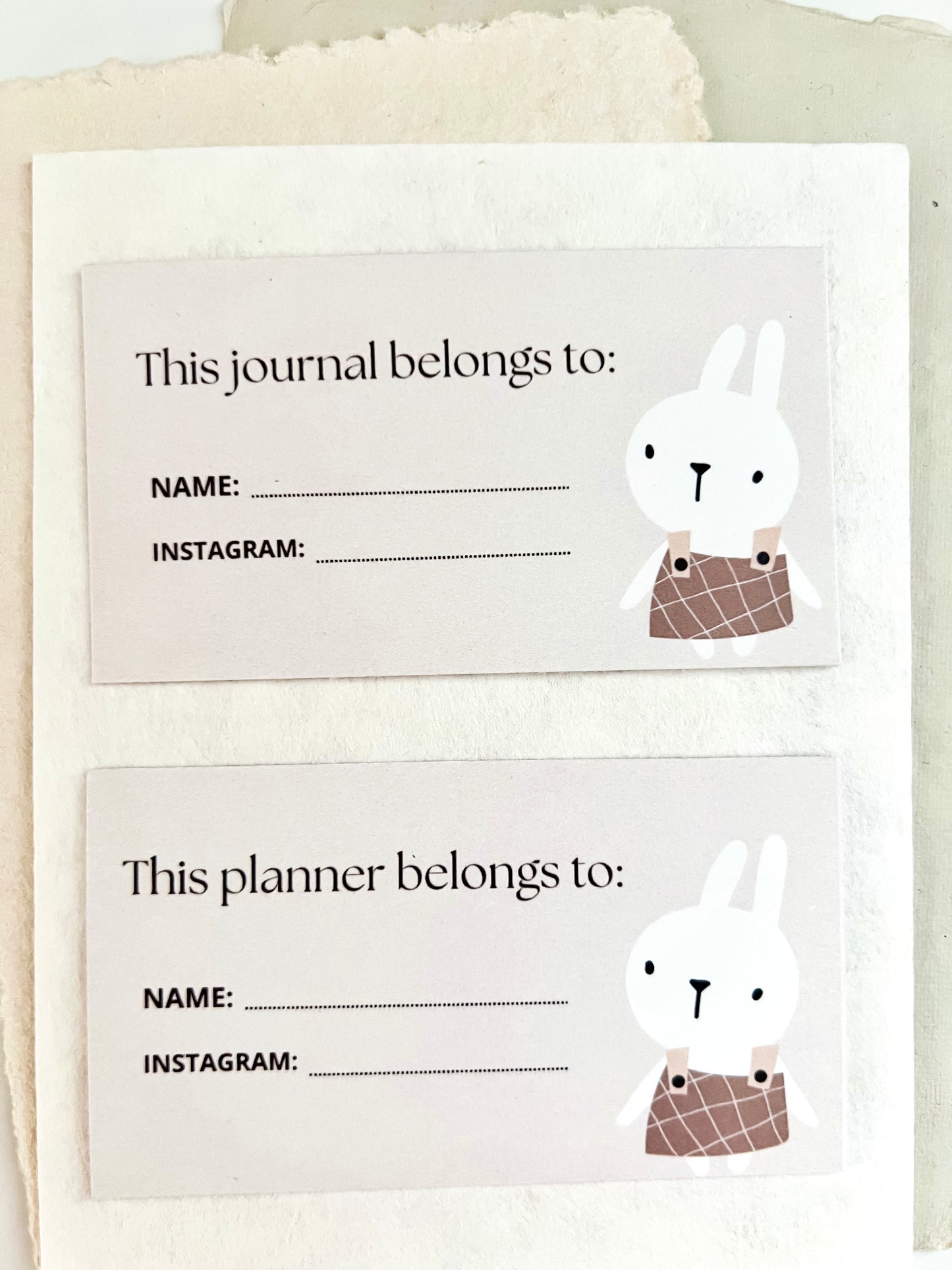 Cute Bunny Card