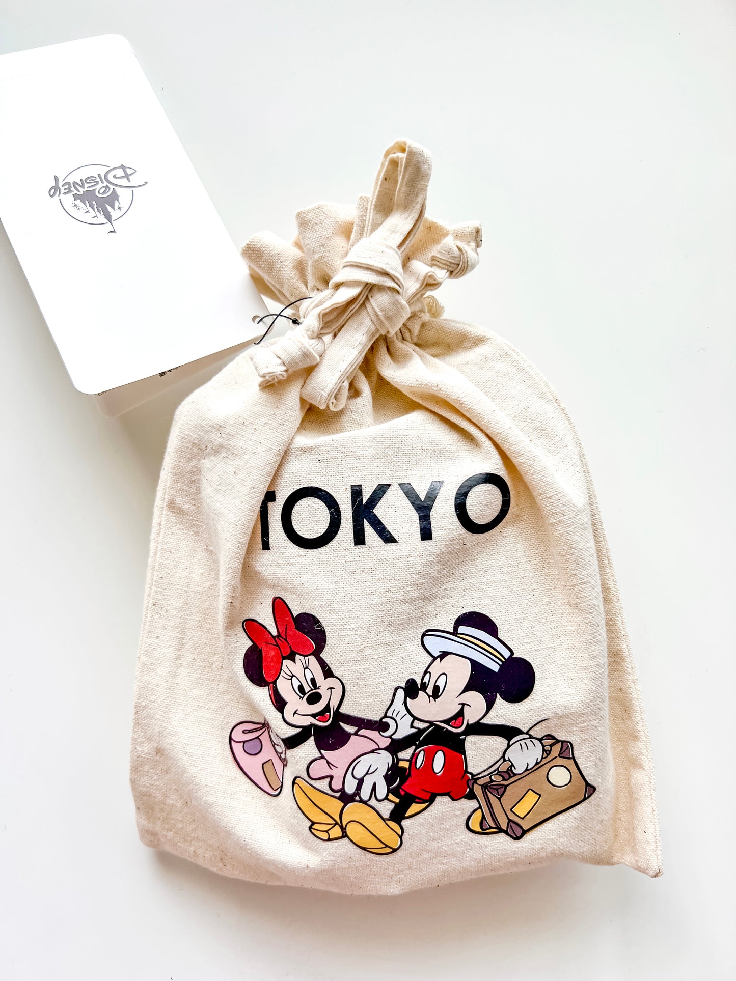 Tokyo Disney Flagship Canvas Pouch with Cookies