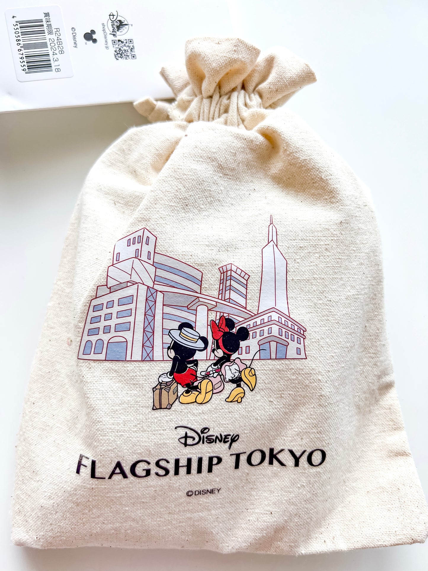 Tokyo Disney Flagship Canvas Pouch with Cookies